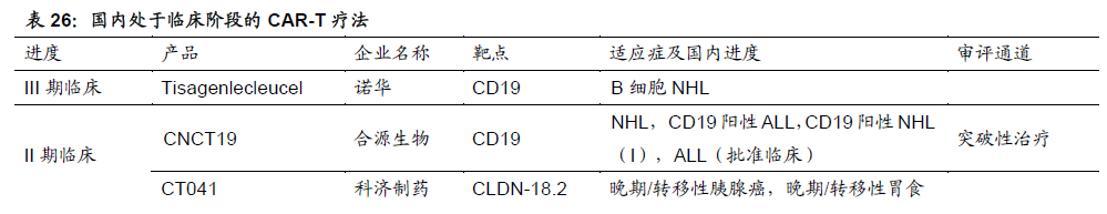 什么是CAR-T治疗?适用什么癌症?国内CAR-T市场规模前景分析
