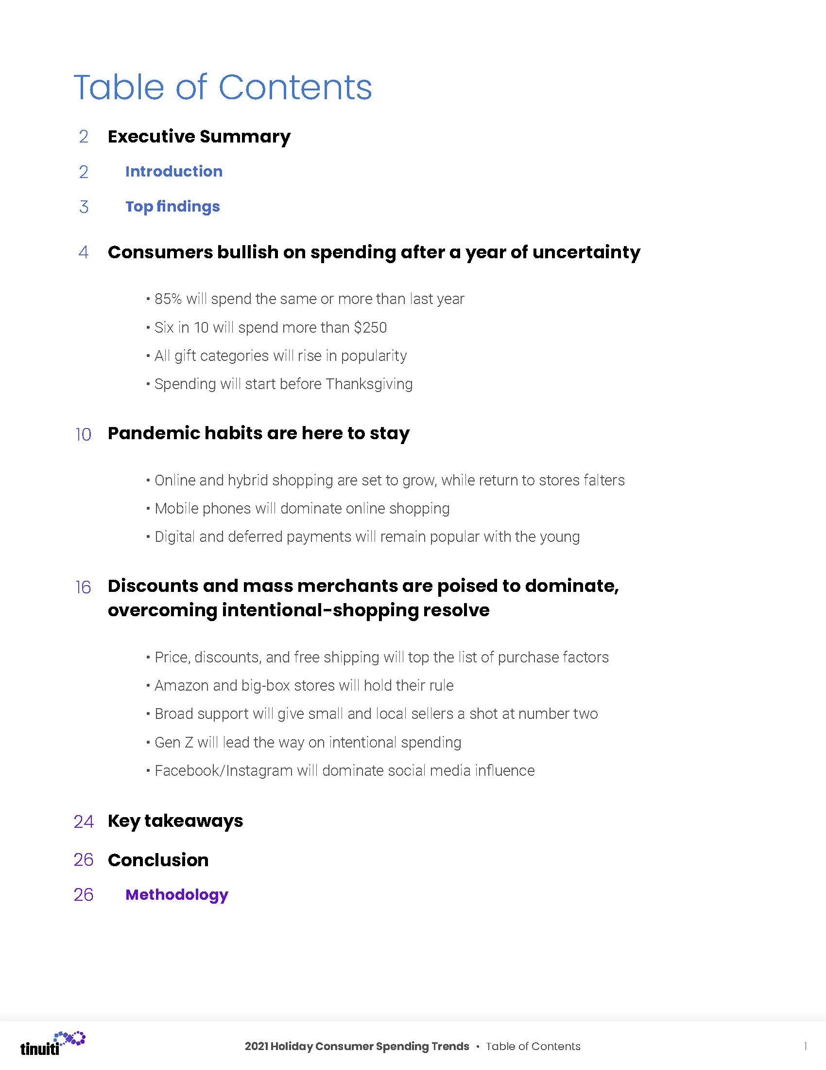 假日购物季报告,