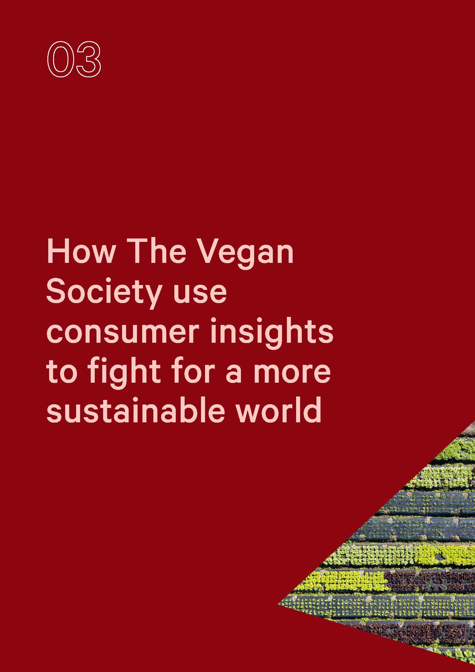 可持续发展报告