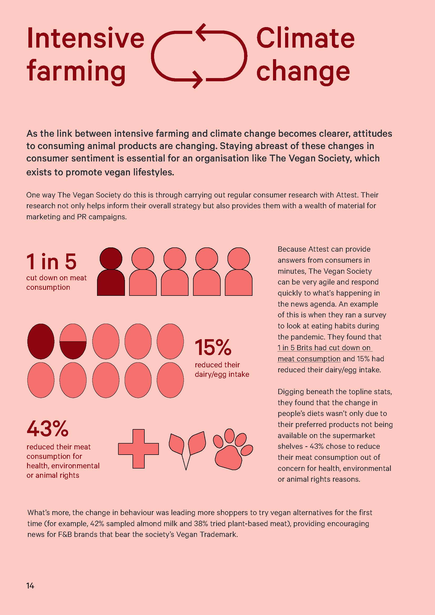 可持续发展报告