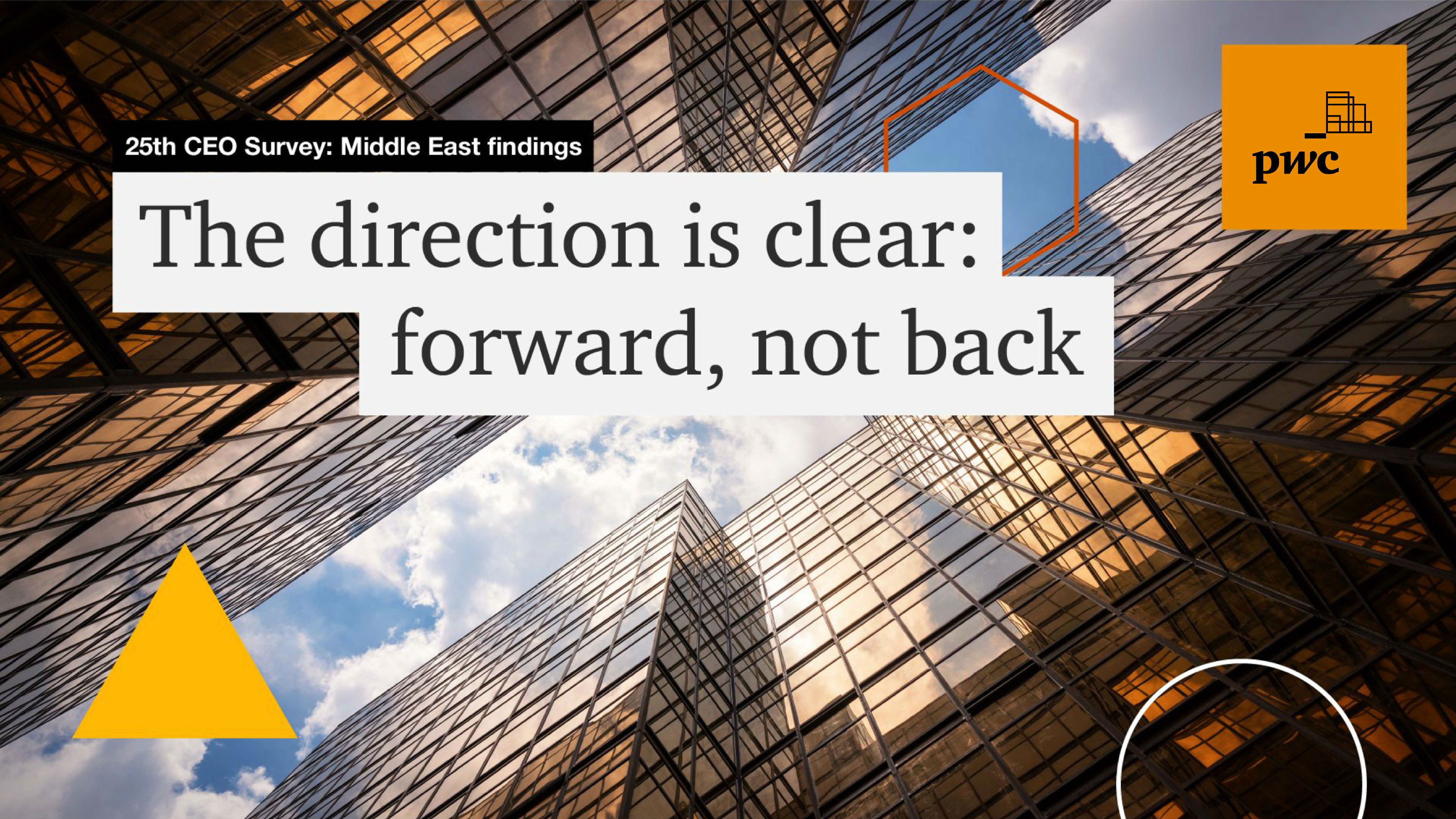 全球CEO研究报告