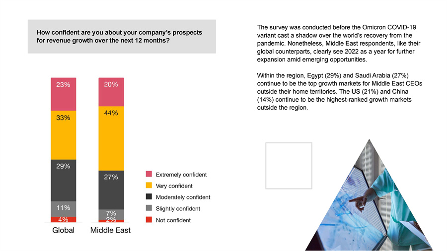 全球CEO研究报告