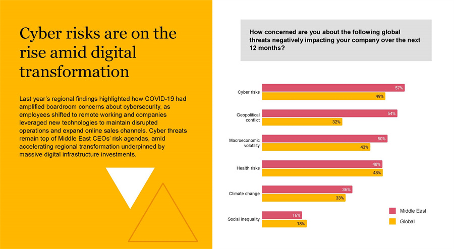 全球CEO研究报告
