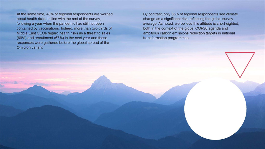 全球CEO研究报告