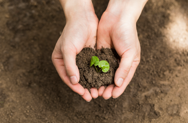 什么是生物育种技术？包括什么？优越性、相关政策介绍