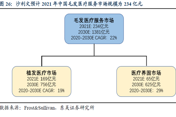 沙利文预计2021 年中国毛发医疗服务市场规模为234 亿元 沙利文预计2021 年中国毛发医疗服务市场规模为234 亿元