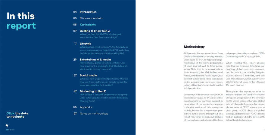 Z世代洞察报告