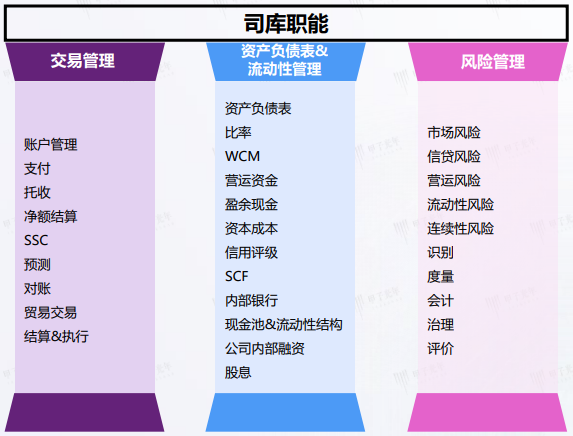 司库管理职能 司库管理职能