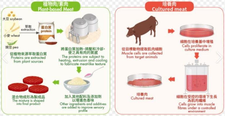 人造肉工艺流程