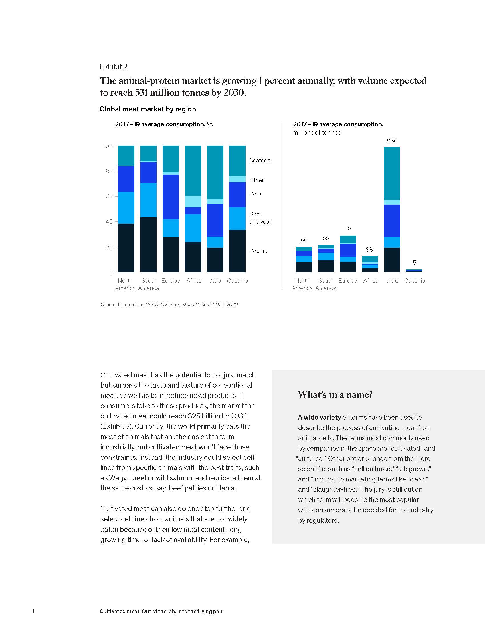 人造肉产业报告
