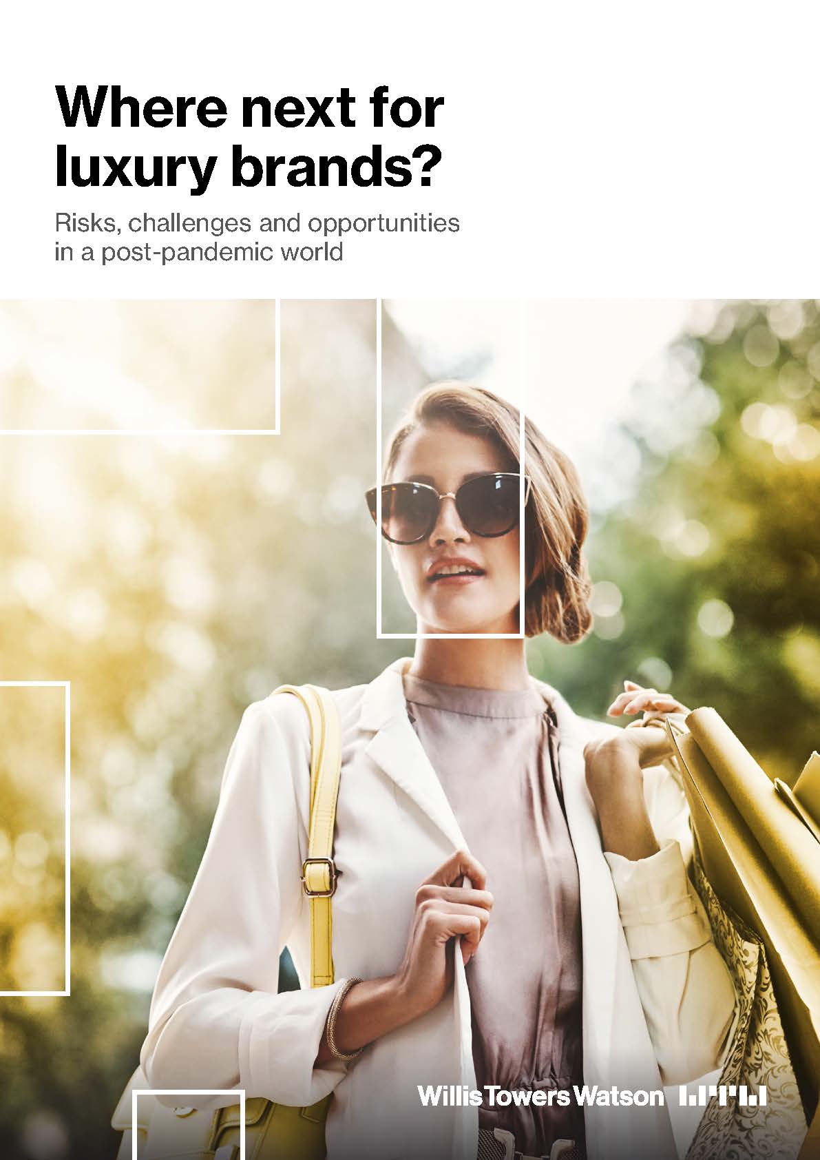 全球奢侈品牌调研报告