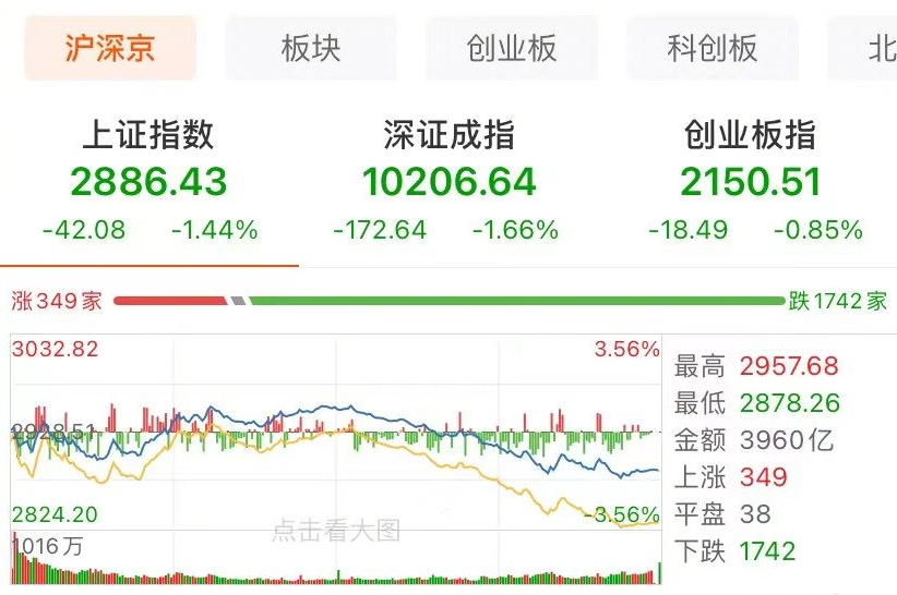 沪指失守2900点 两市近300股跌停
