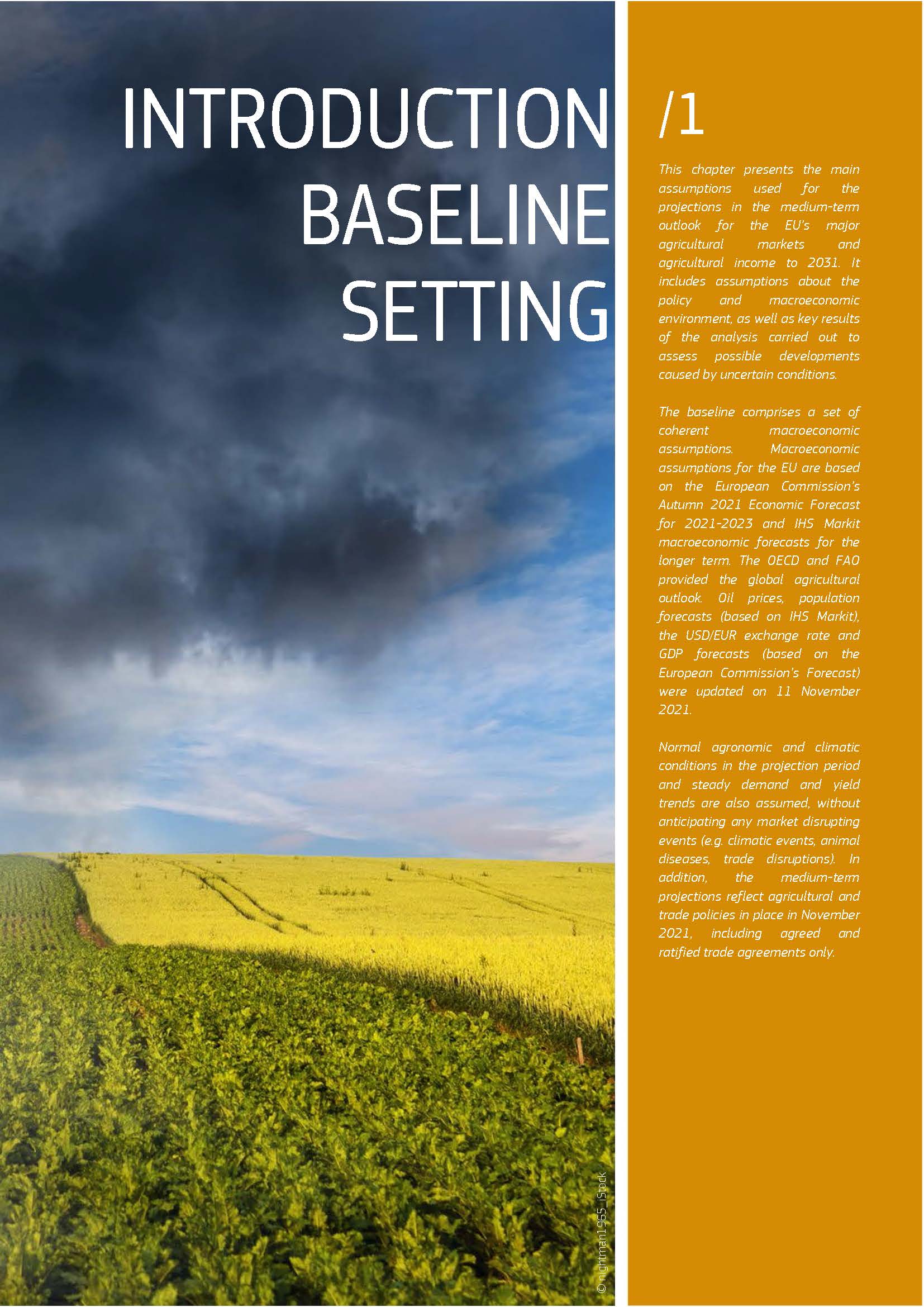 欧盟农业展望报告