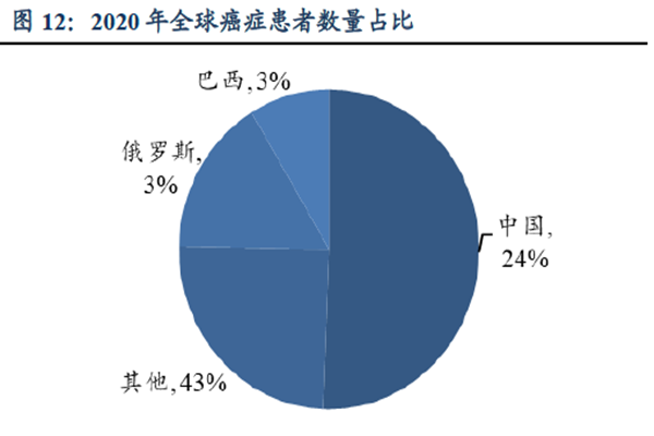 2020 年全球癌症患者数量占比
