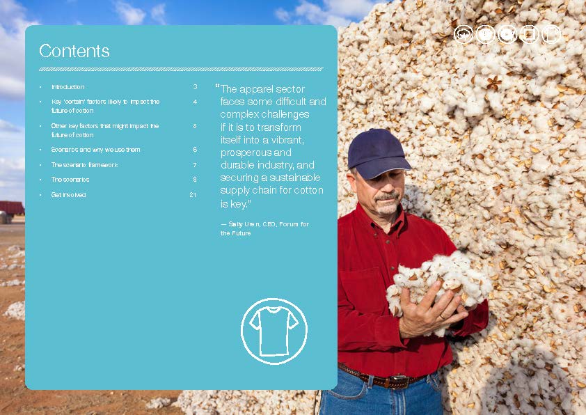 棉花产业未来展望