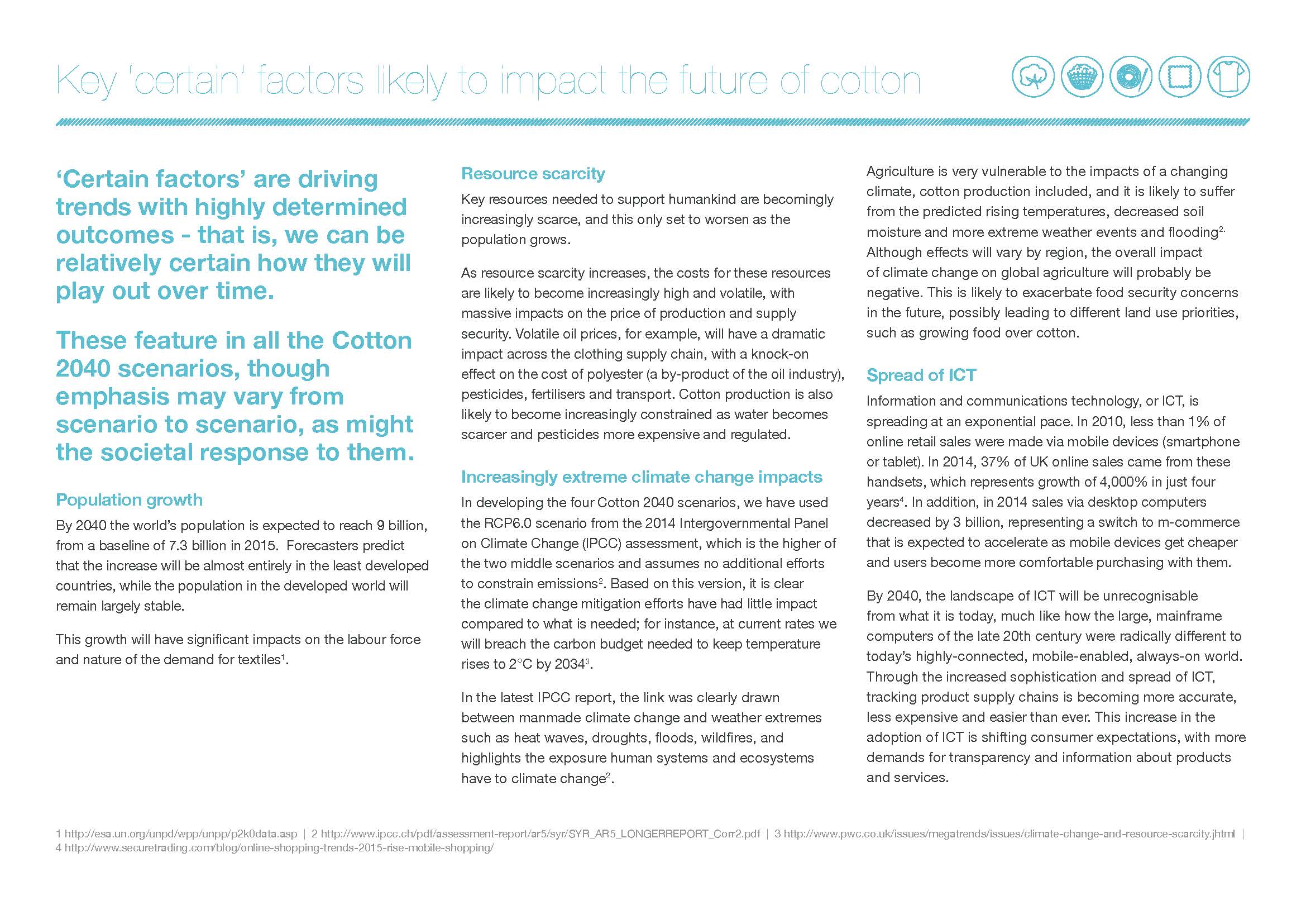 棉花产业未来展望