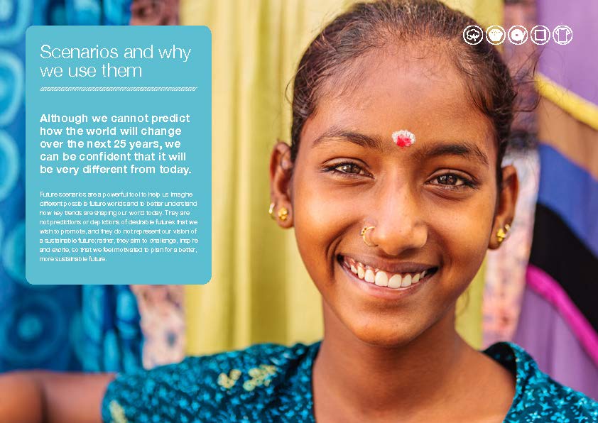 棉花产业未来展望