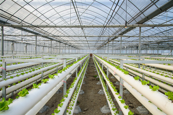 有机农业产业化