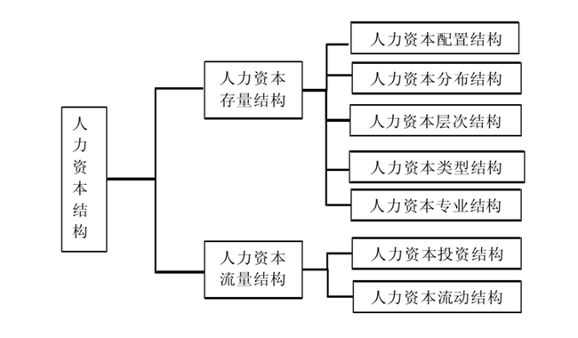 人力资本结构的分类 人力资本结构的分类