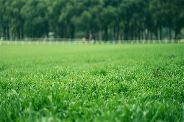 绿色资产证券化