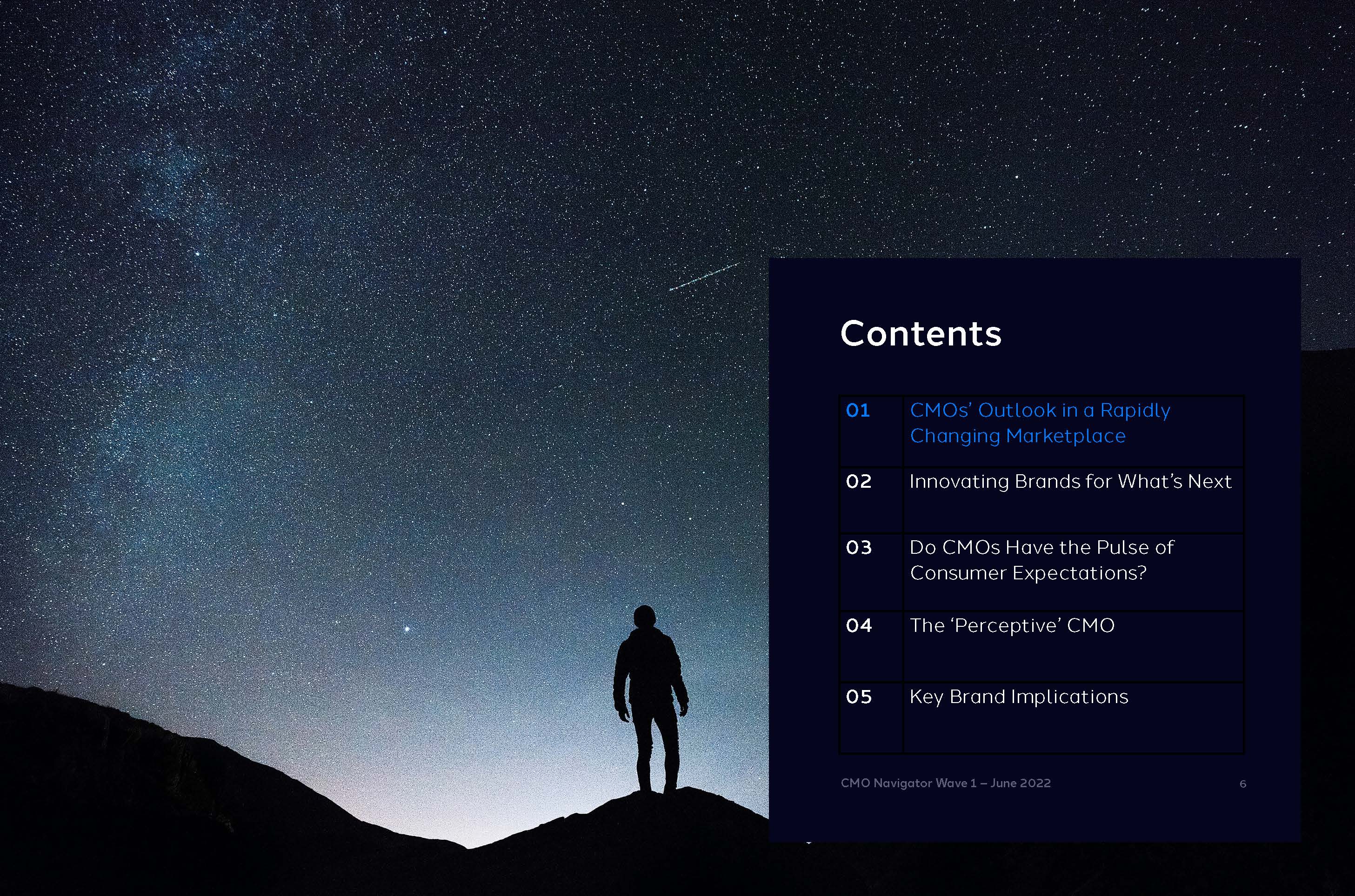 首席营销官cmo报告