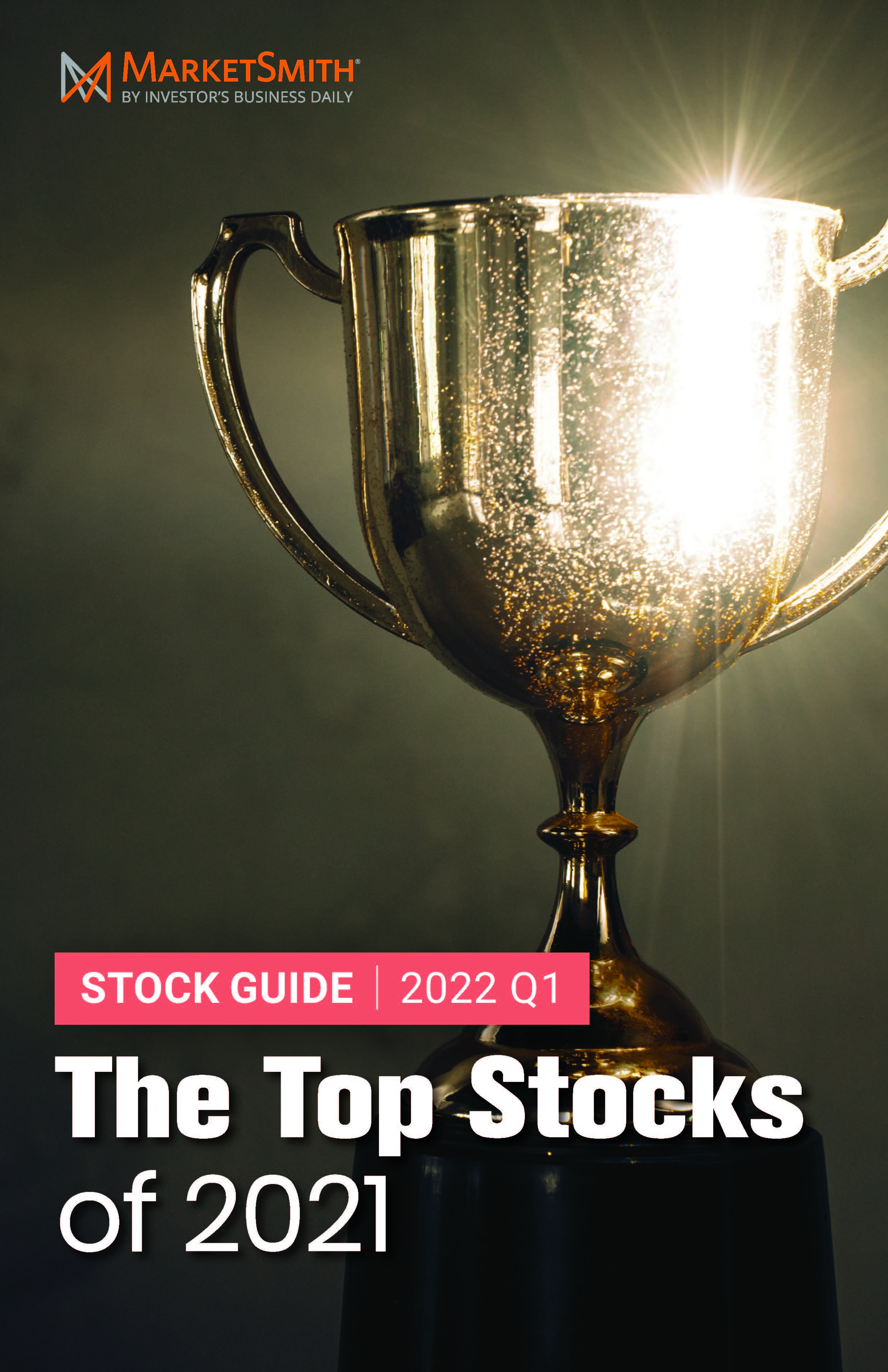 盘点2021年的股票