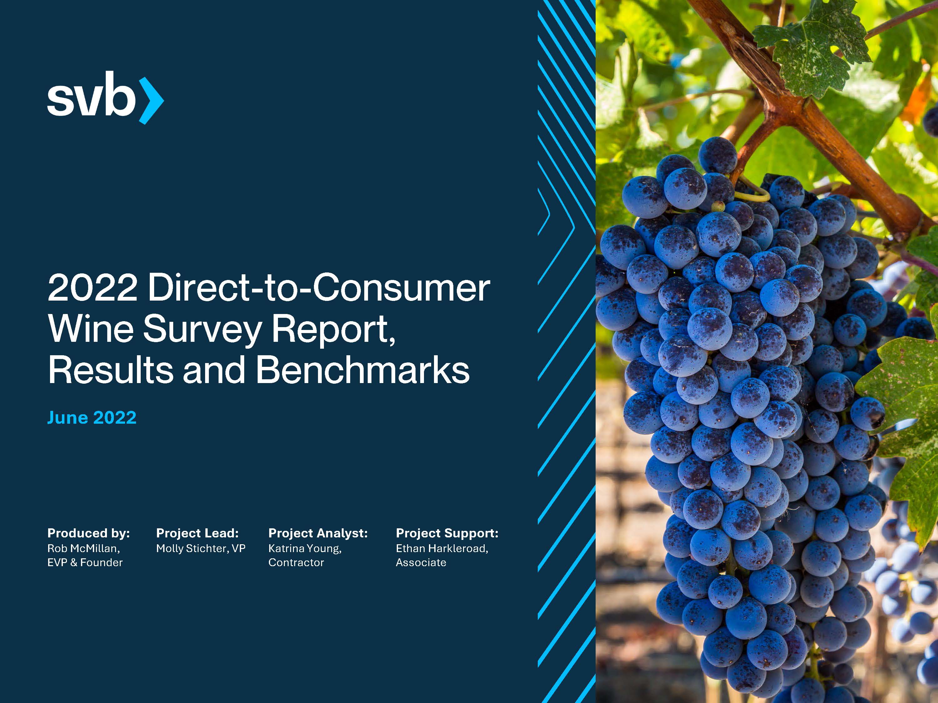 2022年葡萄酒市场分析报告