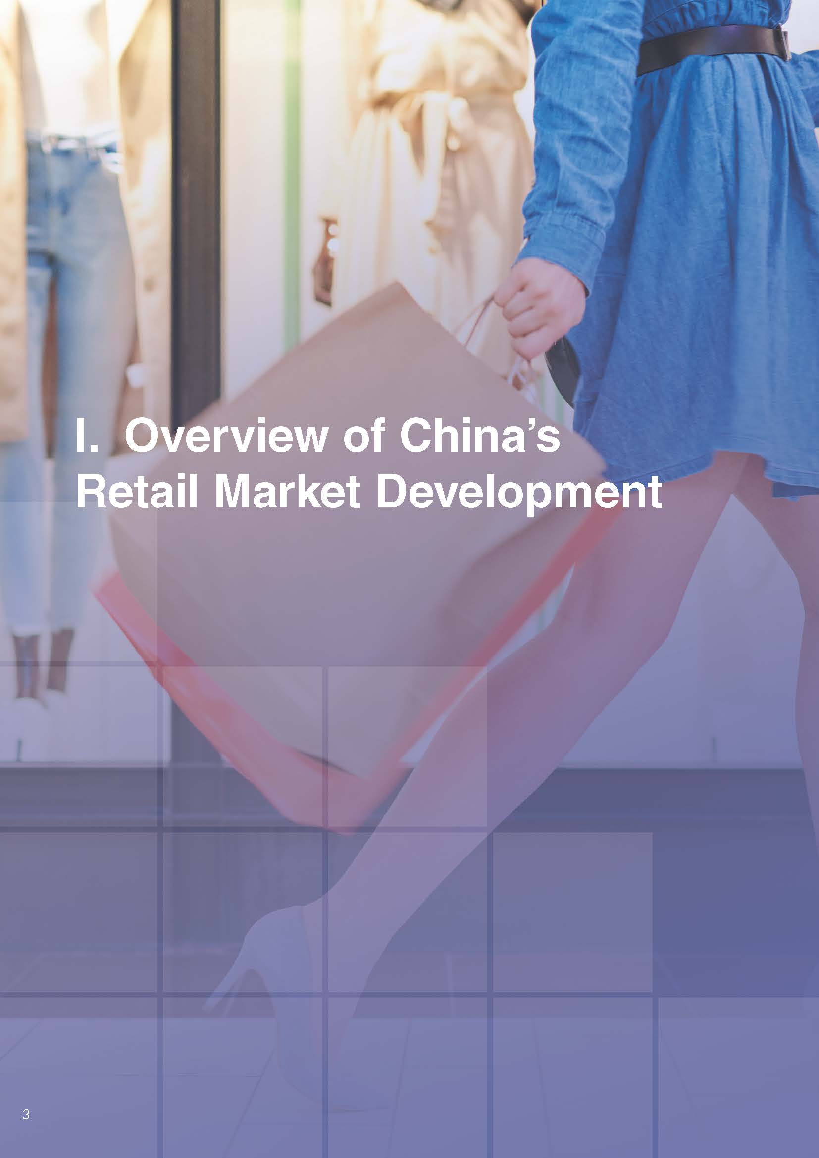 中国百货零售业发展报告分析