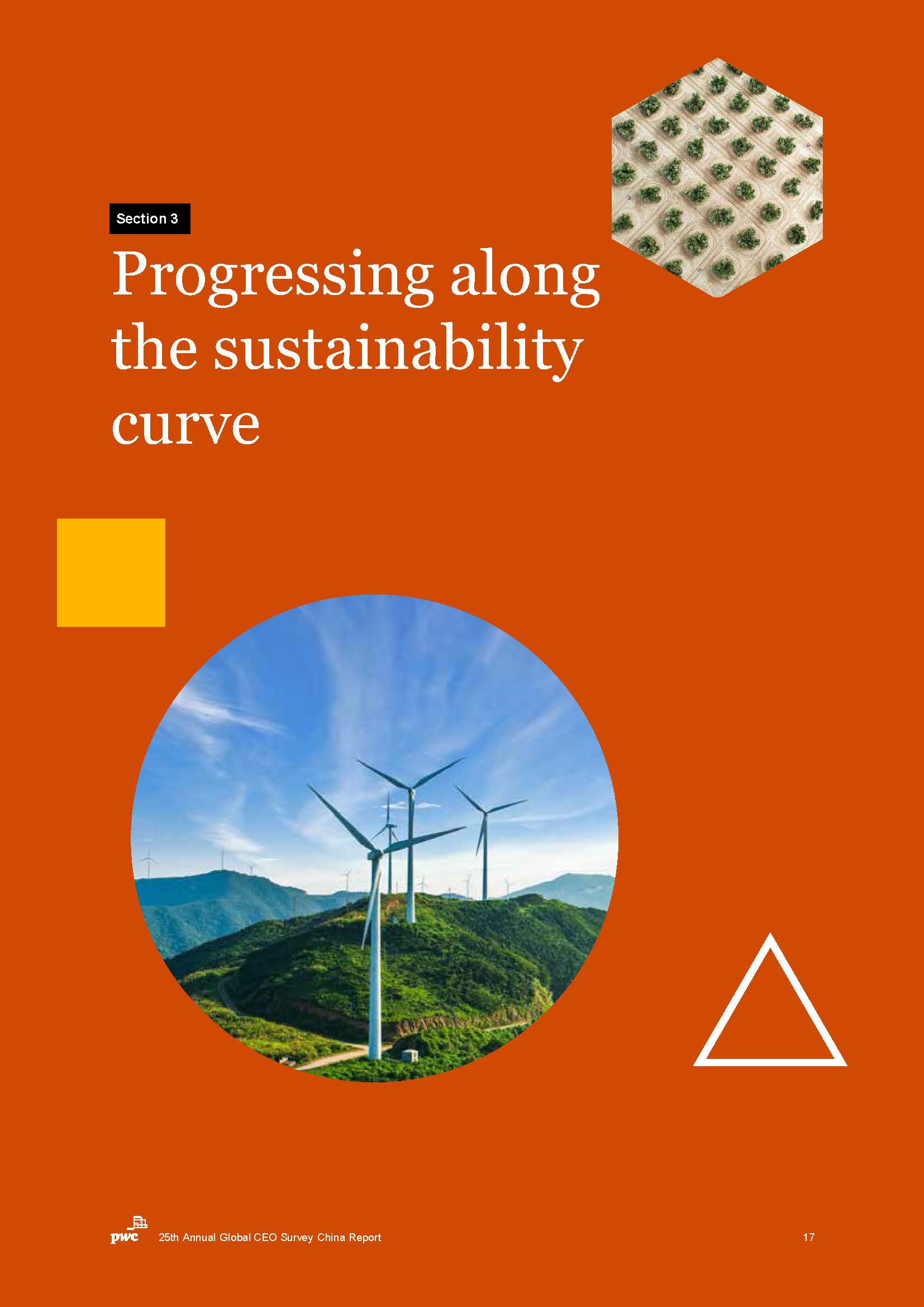 全球ceo调研中国报告