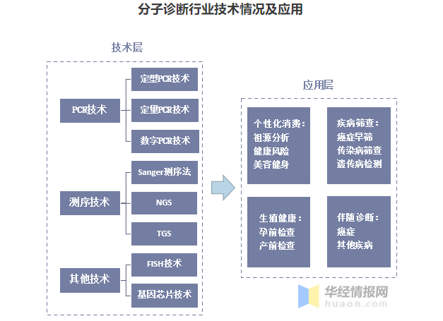 分子诊断 分子诊断