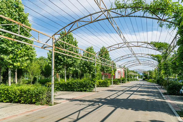 农业社会化服务