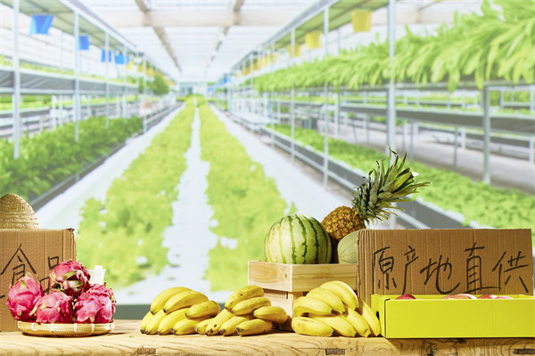 农村电商龙头股