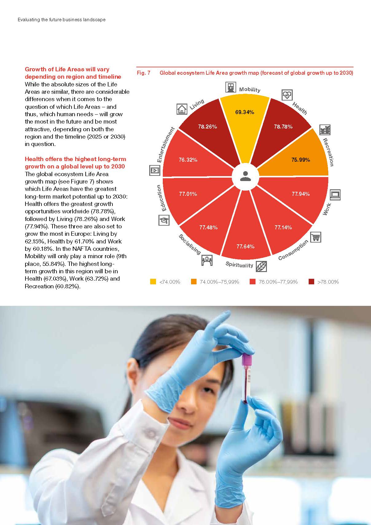 商业生态系统分析报告