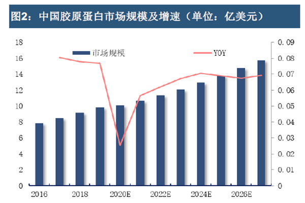 中国胶原蛋白市场规模及增速