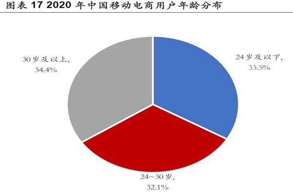 2020 年中国移动电商用户年龄分布