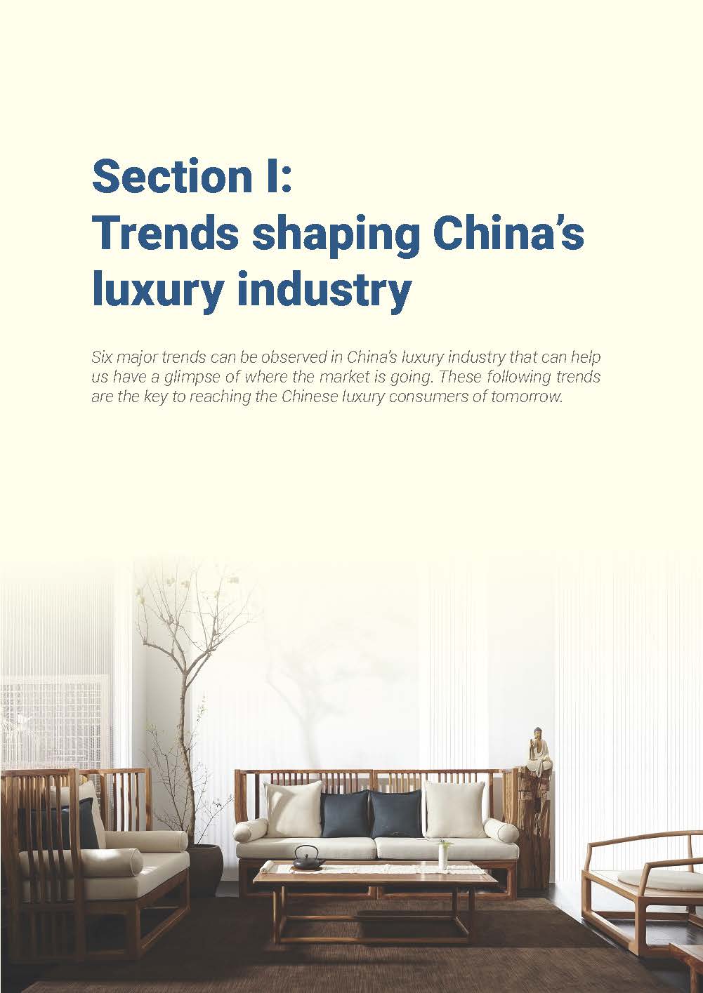 中国奢侈品市场报告