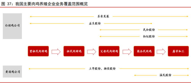 我国主要肉鸡养殖企业业务覆盖范围概览 我国主要肉鸡养殖企业业务覆盖范围概览