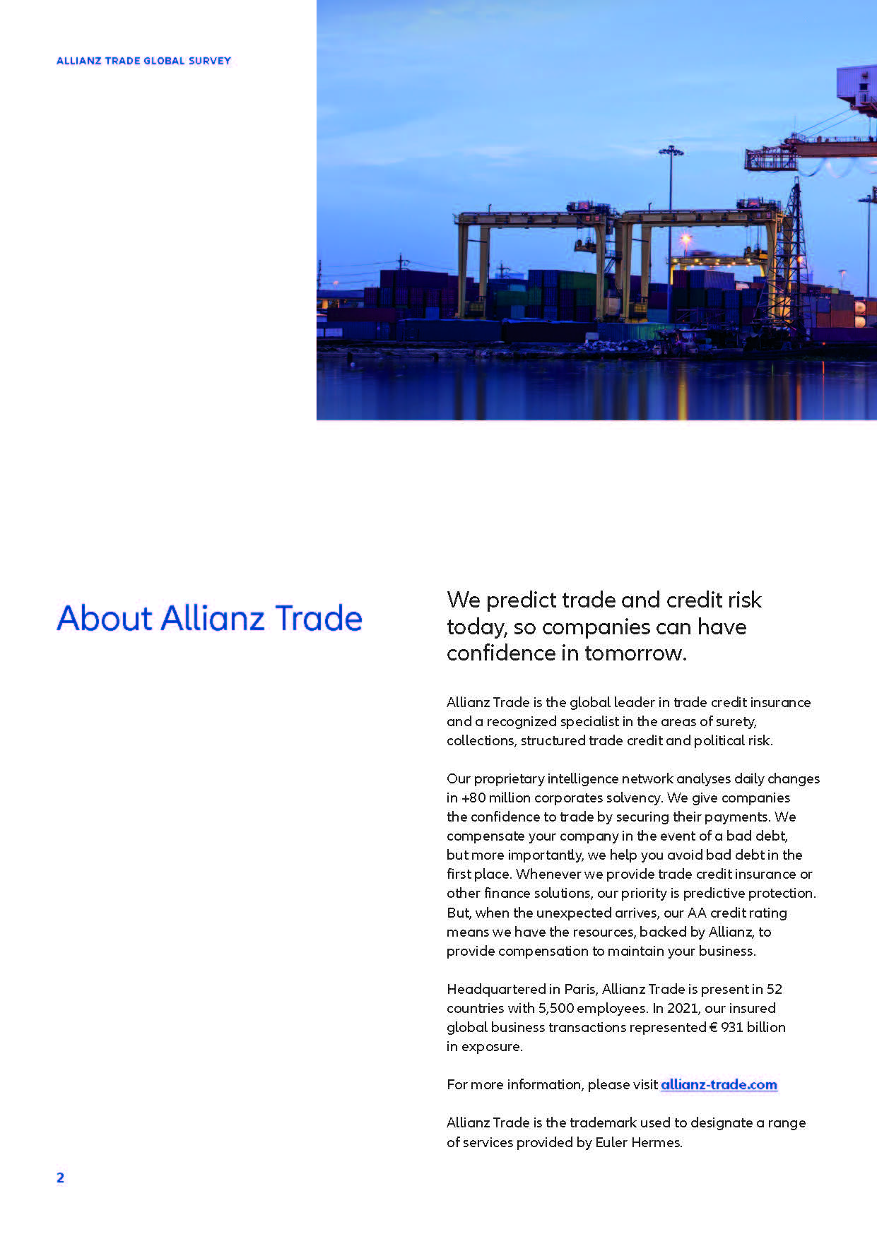 全球贸易调查报告