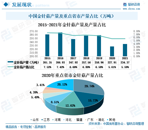 中国金针菇的年产量